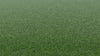 Tips NY Putt-Synthetic Grass Turf-Shawgrass-Shaw Golf-300-Nylon-0.5-KNB Mills