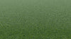Tips Pro Putt-Synthetic Grass Turf-Shawgrass-KNB Mills