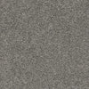 Top Gun-Broadloom Carpet-Earthwerks-Top Gun Silver Fox-KNB Mills