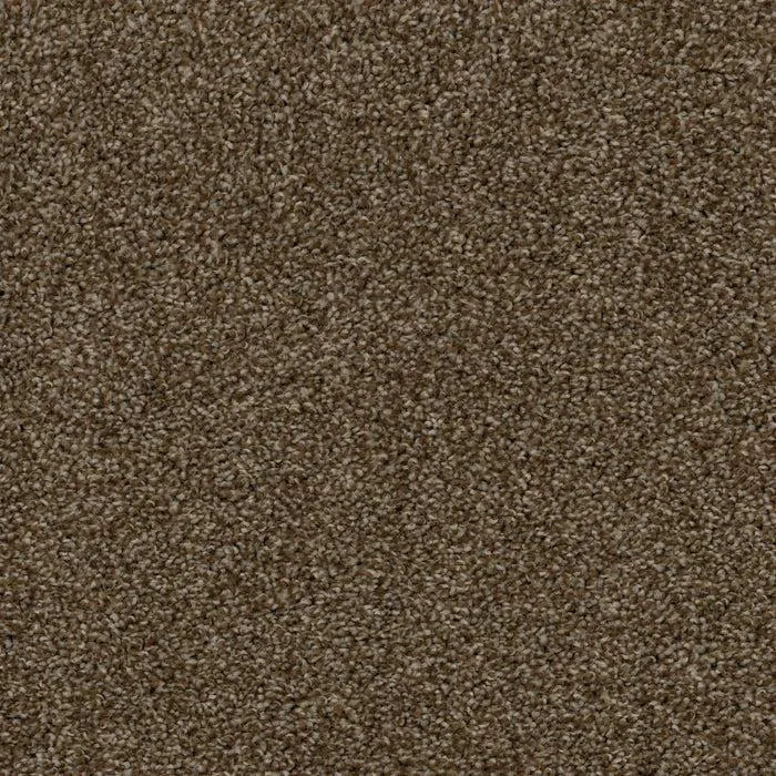 Top Gun-Broadloom Carpet-Earthwerks-Top Gun Boss Tweed-KNB Mills