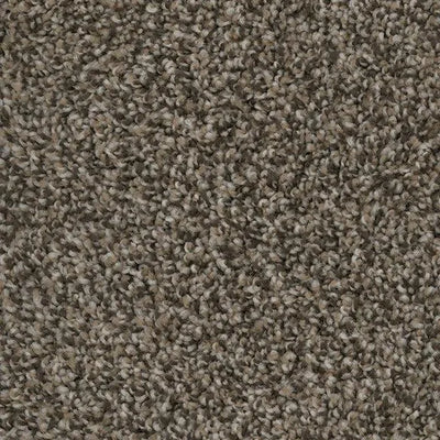 Twilight Zone-Broadloom Carpet-Marquis Industries-BB004 Swiss Mocha-KNB Mills