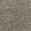 Twilight Zone-Broadloom Carpet-Marquis Industries-BB001 Birch Bark-KNB Mills