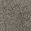 Twilight Zone-Broadloom Carpet-Marquis Industries-BB011 Dove-KNB Mills