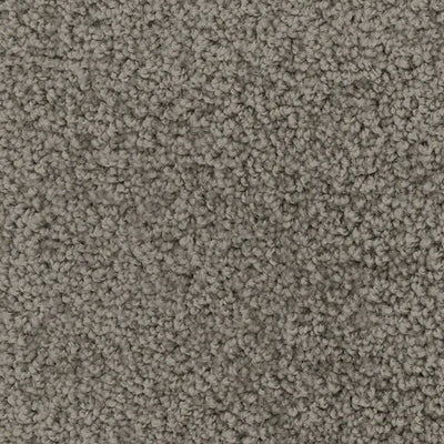 Twilight Zone-Broadloom Carpet-Marquis Industries-BB011 Dove-KNB Mills