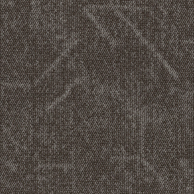 Grounded Spaces